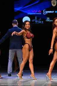 Кубок Вологодской области по бодибилдингу - 2026