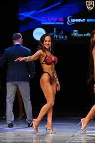 Кубок Вологодской области по бодибилдингу - 2026