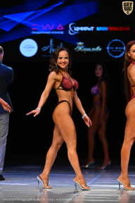 Кубок Вологодской области по бодибилдингу - 2026