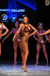 Кубок Вологодской области по бодибилдингу - 2026