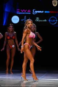 Кубок Вологодской области по бодибилдингу - 2026