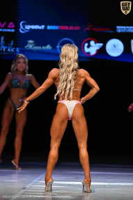 Кубок Вологодской области по бодибилдингу - 2026