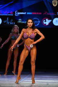 Кубок Вологодской области по бодибилдингу - 2026