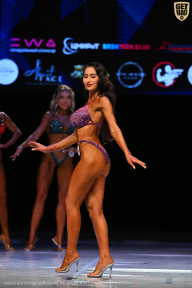 Кубок Вологодской области по бодибилдингу - 2026