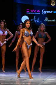 Кубок Вологодской области по бодибилдингу - 2026