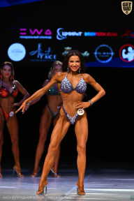 Кубок Вологодской области по бодибилдингу - 2026