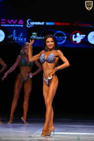 Кубок Вологодской области по бодибилдингу - 2026