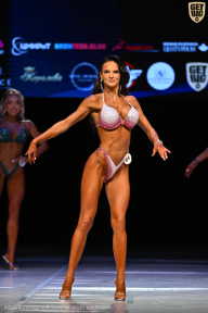 Кубок Вологодской области по бодибилдингу - 2026