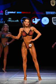 Кубок Вологодской области по бодибилдингу - 2026