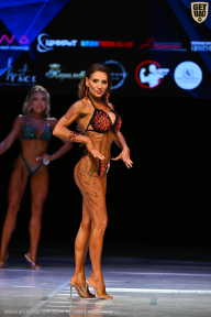 Кубок Вологодской области по бодибилдингу - 2026