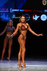 Кубок Вологодской области по бодибилдингу - 2026