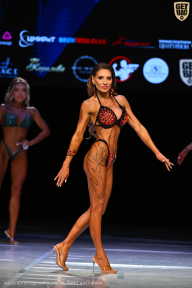 Кубок Вологодской области по бодибилдингу - 2026