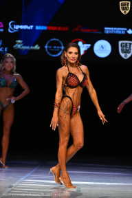 Кубок Вологодской области по бодибилдингу - 2026