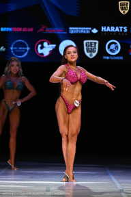 Кубок Вологодской области по бодибилдингу - 2026