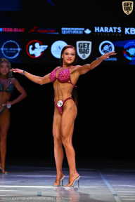 Кубок Вологодской области по бодибилдингу - 2026