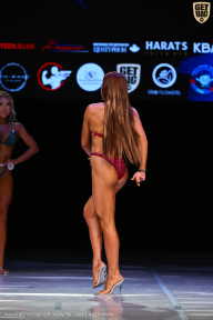 Кубок Вологодской области по бодибилдингу - 2026