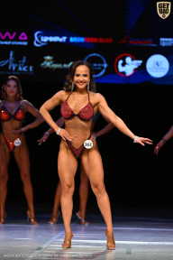 Кубок Вологодской области по бодибилдингу - 2026