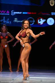 Кубок Вологодской области по бодибилдингу - 2026