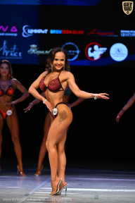 Кубок Вологодской области по бодибилдингу - 2026