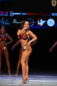 Кубок Вологодской области по бодибилдингу - 2026