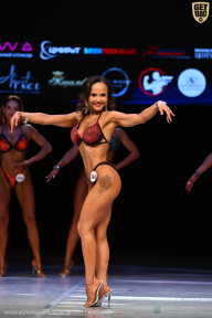 Кубок Вологодской области по бодибилдингу - 2026