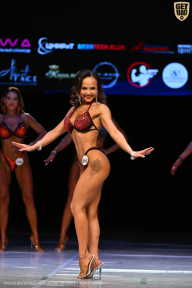 Кубок Вологодской области по бодибилдингу - 2026