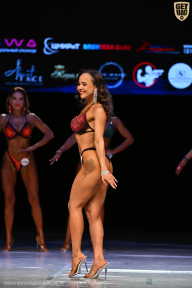 Кубок Вологодской области по бодибилдингу - 2026