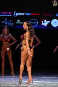 Кубок Вологодской области по бодибилдингу - 2026