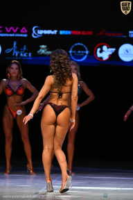 Кубок Вологодской области по бодибилдингу - 2026