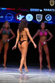 Кубок Вологодской области по бодибилдингу - 2026