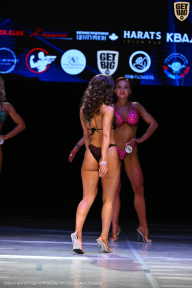 Кубок Вологодской области по бодибилдингу - 2026