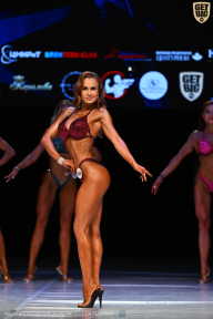 Кубок Вологодской области по бодибилдингу - 2026