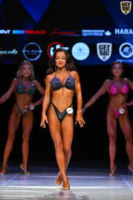 Кубок Вологодской области по бодибилдингу - 2026