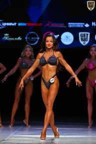 Кубок Вологодской области по бодибилдингу - 2026