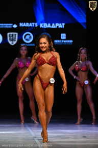 Кубок Вологодской области по бодибилдингу - 2026