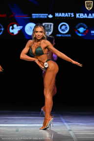 Кубок Вологодской области по бодибилдингу - 2026