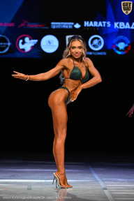 Кубок Вологодской области по бодибилдингу - 2026