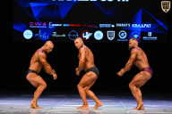 Кубок Вологодской области по бодибилдингу - 2026