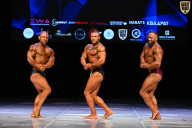 Кубок Вологодской области по бодибилдингу - 2026