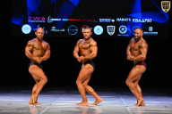 Кубок Вологодской области по бодибилдингу - 2026