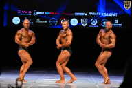 Кубок Вологодской области по бодибилдингу - 2026