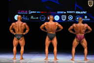 Кубок Вологодской области по бодибилдингу - 2026