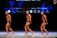 Кубок Вологодской области по бодибилдингу - 2026