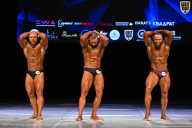 Кубок Вологодской области по бодибилдингу - 2026