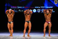 Кубок Вологодской области по бодибилдингу - 2026