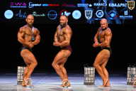 Кубок Вологодской области по бодибилдингу - 2026