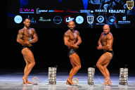 Кубок Вологодской области по бодибилдингу - 2026