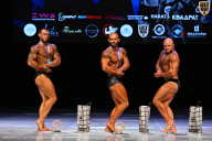 Кубок Вологодской области по бодибилдингу - 2026