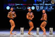 Кубок Вологодской области по бодибилдингу - 2026