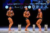 Кубок Вологодской области по бодибилдингу - 2026